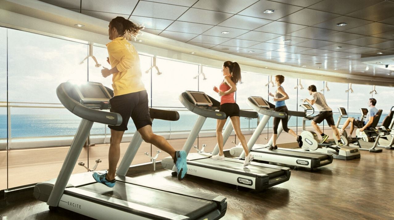 Wellness cruises creating a healthy mind in a healthy body CRUISE TO