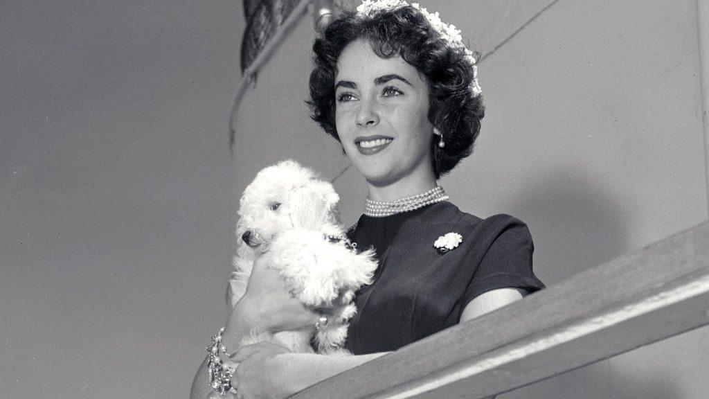 cunard Elizabeth Taylor