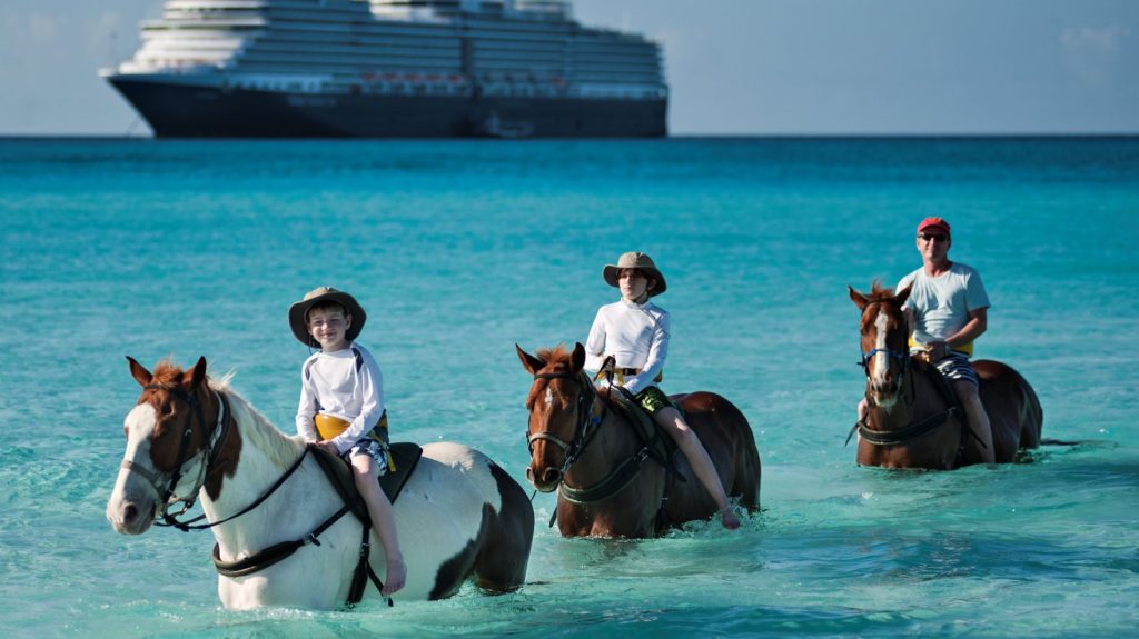 holland america line kids horse